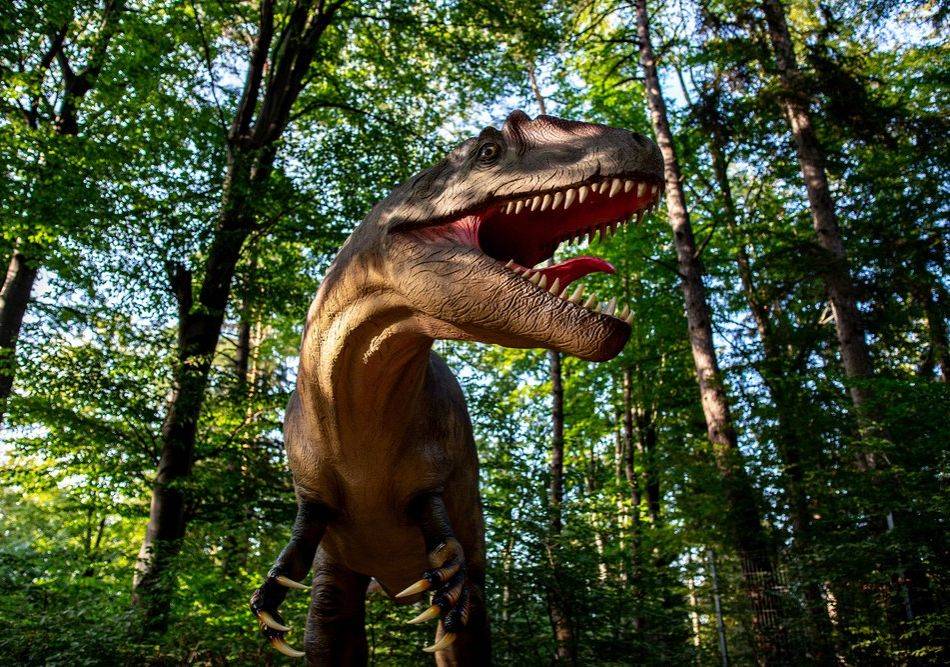 Park Dinozaurów